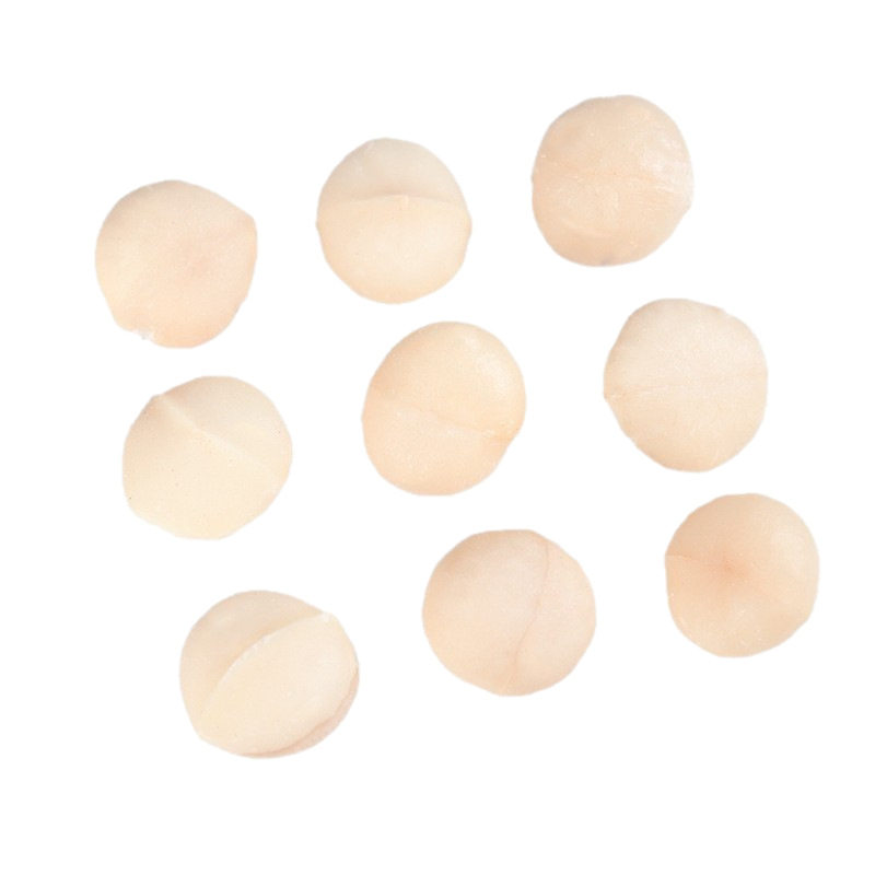 Macadamia Nuts 500g Whole Kernels Half Kernels Shell-Free Milk Flavor Canned 250g Peel-Free Nuts Snacks