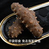 Ready-To-Eat Sea Cucumber 500g Soak-Free High-Quality Source Manufacturer Fresh Dalian Sea Cucumber Instant Sea Cucumber