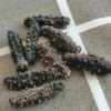 Factory Wholesale Light Dried Sea Cucumber, Fresh Sea Cucumber, Liao Sea Cucumber, High Thorn Sea Cucumber, Plump Flesh, Light Dried Small Sea Cucumber, Dry Goods