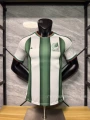 26-27 Mexico Special Edition Green White Stripes