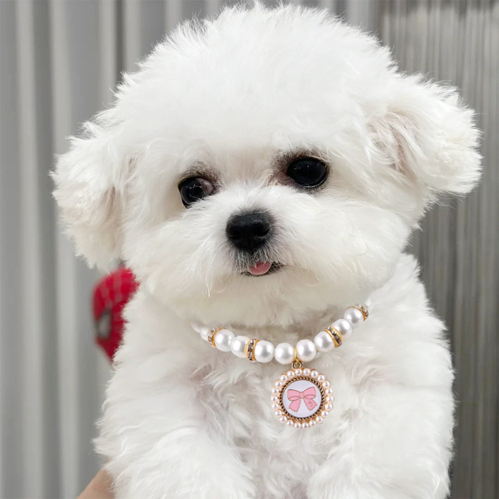 Amazon Pet Diamond Necklace Heart Pearl Pet Collar Dog Pendant Cat Neck Pet Jewelry