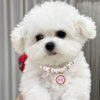 Amazon Pet Diamond Necklace Heart Pearl Pet Collar Dog Pendant Cat Neck Pet Jewelry