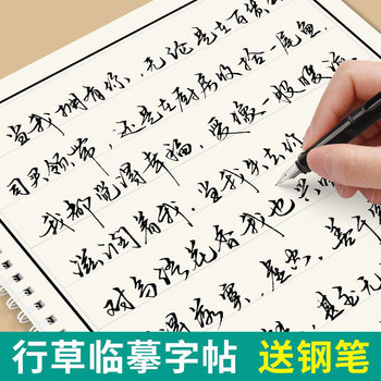 Calligraphy Copybook for Adults, Quick Calligraphy Copybook for High School Students, Adult Professional Pen Copybook, Calligraphy Continuous Writing