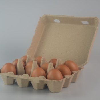 Factory Pulp Egg Box 12 Pack Egg Transport Package 3x 4 Degradable Pulp Egg Box