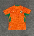 2627cote d'ivoire home court