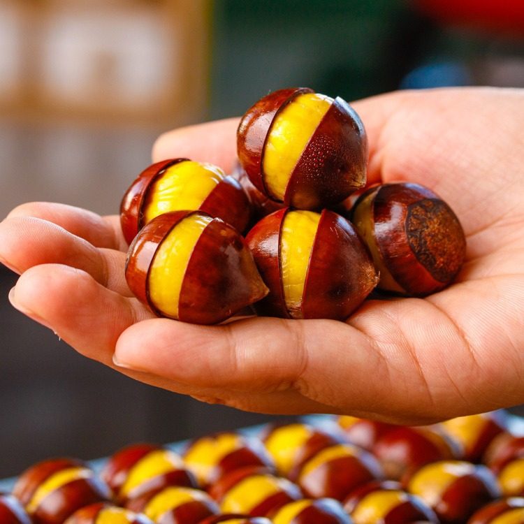 2024 New Goods Jianou Castanea henryi Fresh Wild Oil Chestnut High Mountain Farm Now Picking Tapered Chestnut