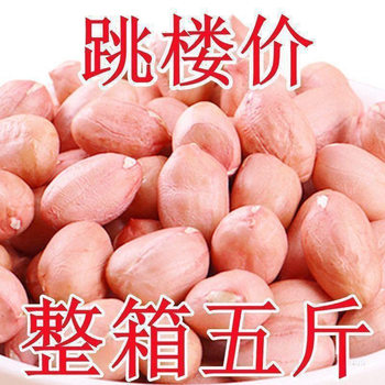 Peanuts Raw Peanuts 2.5kg Big Discount Freshly Peeled New Peanuts with Rice Skin Fresh Large Oil Pressed White Sand 10 Pack