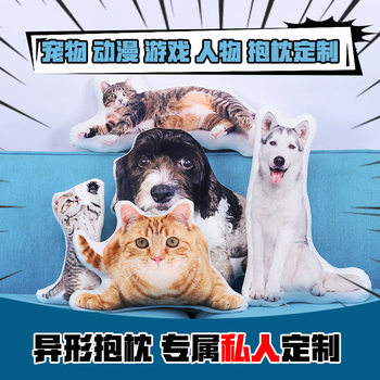 Cross-border diy creative cartoon expression bag pillow animation peripheral pillow case custom shaped pillow wholesale
