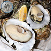 French Ginaduo Imported Oysters, Ready-To-Eat Seafood, Wholesale in Large Quantities, Fresh Live Oysters for Sashimi, Low Wholesale Price