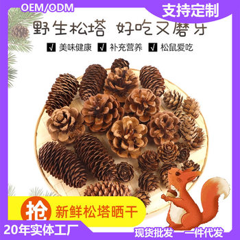 Hamster Molar Snack Natural Pine Nugget Pine Flower Pine Cone Squirrel Small Pet Golden Bear Cage Landscape Valley Ear