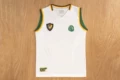 2002 cameroon away game