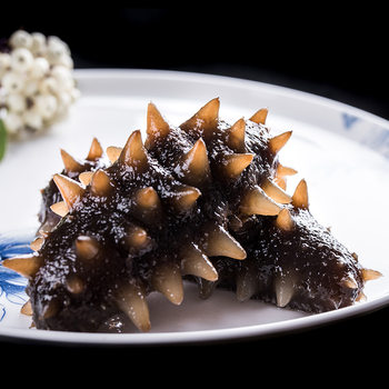 [0.5kg Direct Delivery]Dalian Ready-To-Eat Sea Cucumber, Fresh Liao Sea Cucumber, High-Quality Frozen Seafood 500g