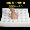 EPE Pearl cotton egg tray duck egg mop express packing box fruit protective lining Pearl cotton roll sheet