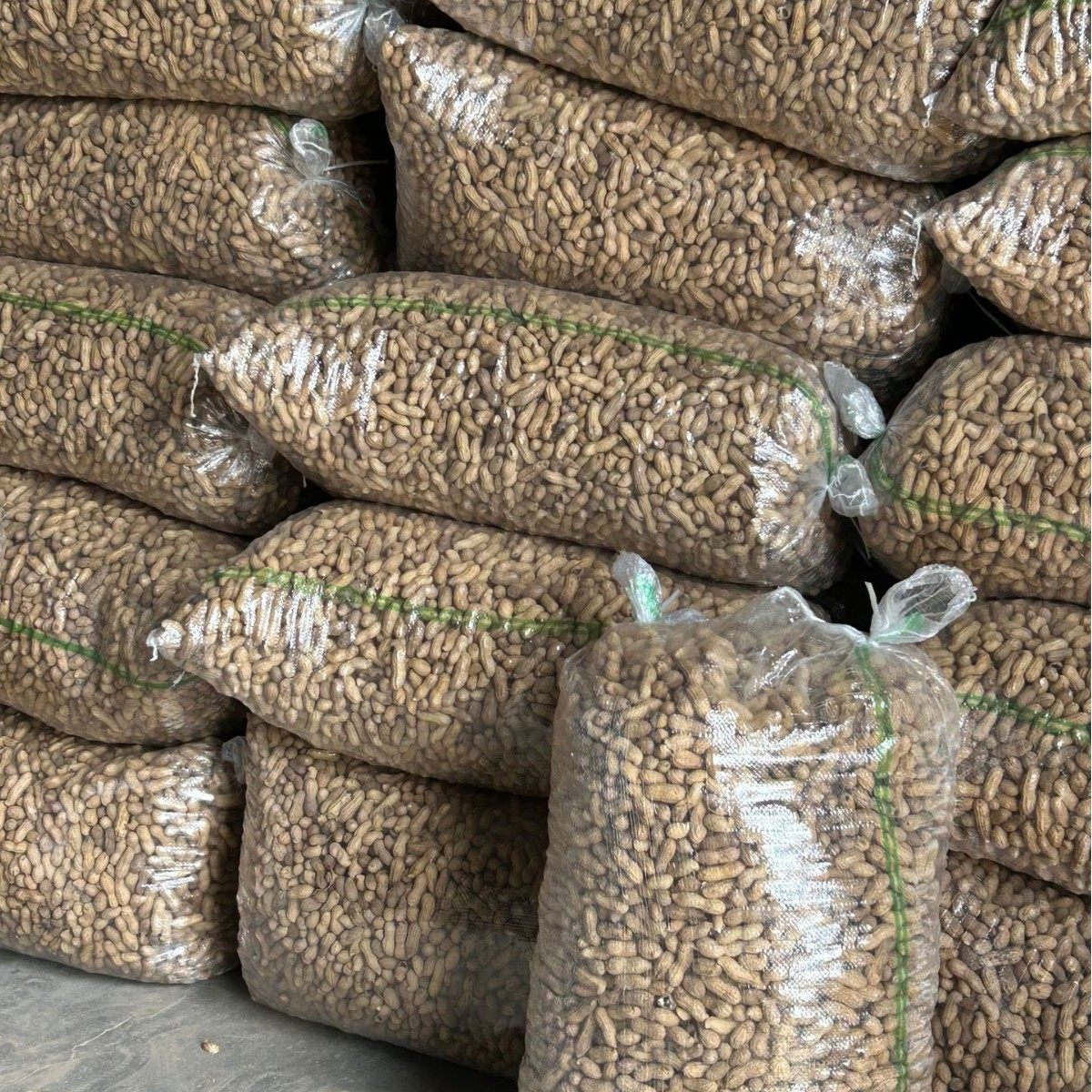 New Black Peanuts in Shell Wholesale Black Peanuts Five-Spice Wholesale Black Skin Peanuts Direct from the Source