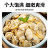 Fresh Clam Meat, Large Clam, Live Clam, Clam Meat, Frozen Yellow Clam Meat, Seafood, Aquatic Products, Non-Dried Goods, Ready-To-Eat