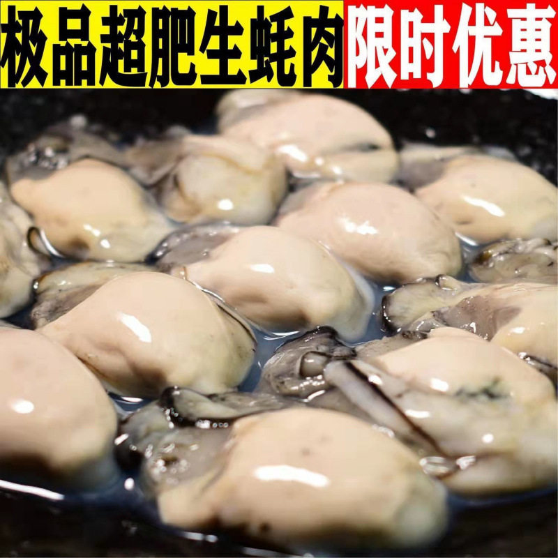 Fresh Oyster Meat Seafood Freshly Peeled on the Day Grilled Oyster Oyster Meat 250g Shipped from Miaizhou