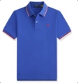 8840 pony color blue