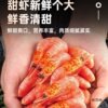 Arctic Sweet Shrimp, Polar Bear, Arctic Shrimp Sashimi, Ready-To-Eat Frozen Ice Shrimp with Heads, Bellies, Seeds, Large with Seeds, 2.5kg Yuan Treasure Shrimp