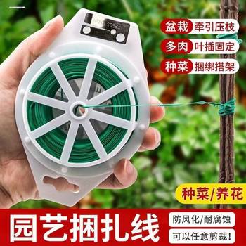 Gardening Strapping Line Planting Strapping Strapping Plastic Strapping Line Iron Wire Rose Climbing Plant Fixing Strapping Strapping Strapping Strapping Bracket