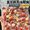 Large Lobster Tail Sf Cold Chain Free Shipping Spicy Crayfish Fresh Quick-Frozen Shrimp Balls Whole Box Wholesale