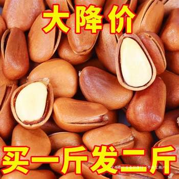 Wholesale Snacks Northeast Open Pine Nuts Pine Nuts One Nut Original Flavor 500g New Arrival Whole Box Large Particle Packaging