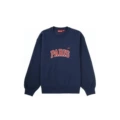 E572 #   Royal blue paris