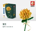 Yellow-chrysanthemum (601236b) in stock