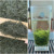 2026-3# прямая головка-самоуплотняющийся пакет весом 250 г