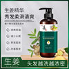 Cross-border Explosions Ginger Essence Oil Control Anti-dandruff Shampoo Anti-dandruff Soft Nourishing Hair Care Shampoo Wholesale