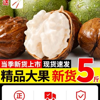 2025 Wet Walnut Peeled Tender Walnut Raw Walnut Kernel Thin Paper Peel Hand Peeled Walnut Wholesale