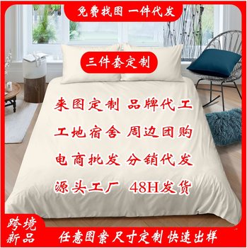 Amazon Xiyin temu a generation of custom bed three-piece bedding quilt cover cross-border map customization