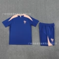 2526 short sleeve french color blue