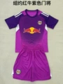 2526 new york red bulls purple goalkeeper