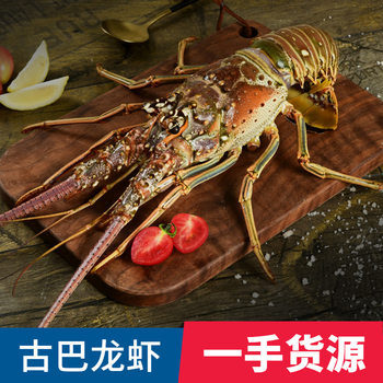 Cuban Lobster Raw Frozen Wave Dragon Australian Dragon with Whiskers Catering Banquet Special Seafood Little Bee Lobster Fresh Quick Frozen