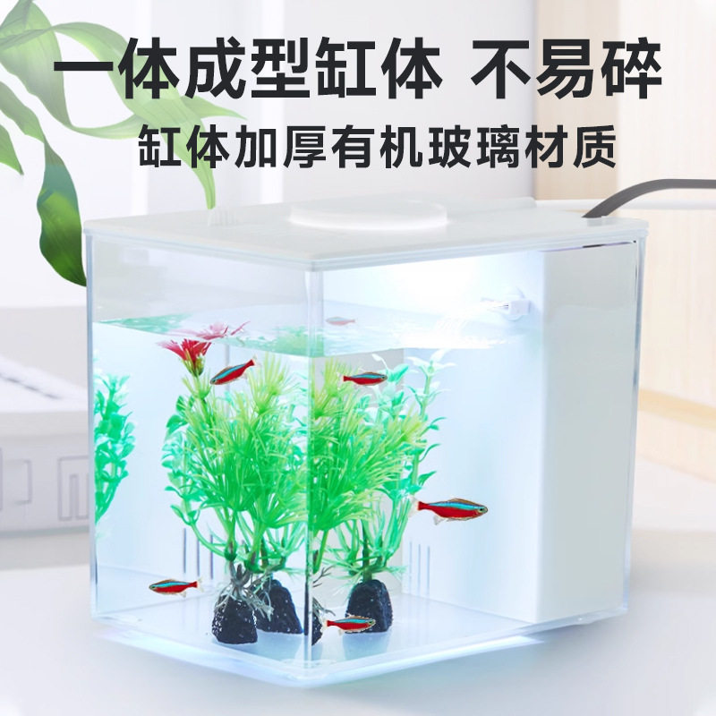 Desktop Fish Tank Aquarium Turtle Tank Goldfish Tank Creative Living Room Small Fish Tank Water Free Landscape Ecological Fish Tank