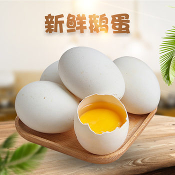 Guangdong Fresh Goose Eggs, 6/12 Raw Goose Eggs, Free-Range Wild Goose Eggs, Baby Food Supplement, Shandong Native Goose Eggs