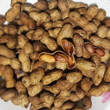 Nx New Arrival Pecan Flavored Peanut Caramel Peanut 500g Bulk Candy Peanut Popular Snack Dried Fruit Fried