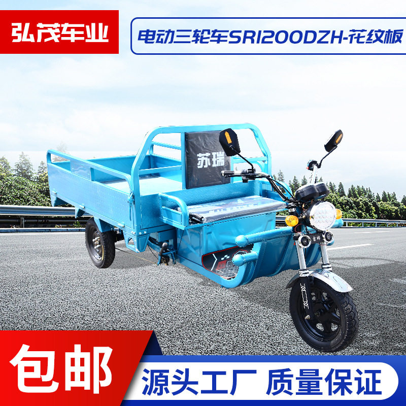 Electric tricycle new brand can pull goods stall Load King tricycle electric car adult tricycle climbing