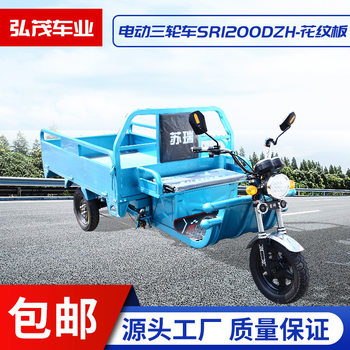 Electric tricycle new brand can pull goods stall Load King tricycle electric car adult tricycle climbing