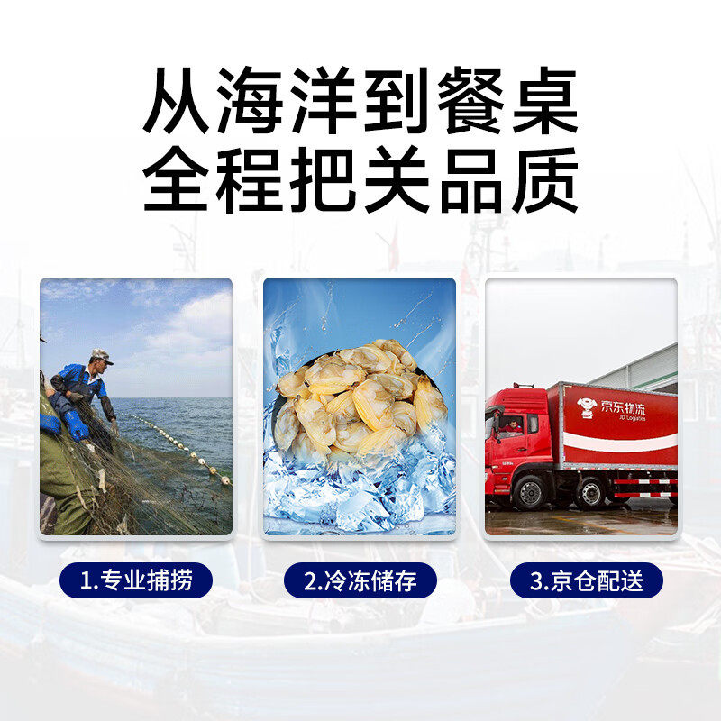 Fresh Clam Meat, Large Clam, Live Clam, Clam Meat, Frozen Yellow Clam Meat, Seafood, Aquatic Products, Non-Dried Goods, Ready-To-Eat