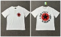 3138 white