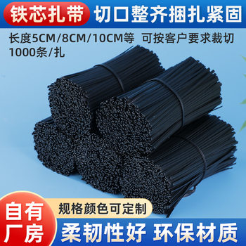 In-Stock Iron Core Cable Ties Direct from Manufacturer, Plastic-Coated Iron Core Cable Ties, Black Pe Iron Core Sheathed Cable Ties