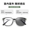 New Fashion Anti-Blue Light Flat Mirror Women's ins Style Personalized Retro Glasses Frame Cold Tea Pigment Color Changing Glasses