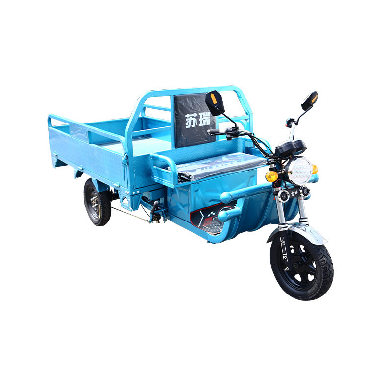 Electric tricycle new brand can pull goods stall Load King tricycle electric car adult tricycle climbing