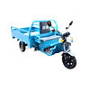 Electric tricycle new brand can pull goods stall Load King tricycle electric car adult tricycle climbing