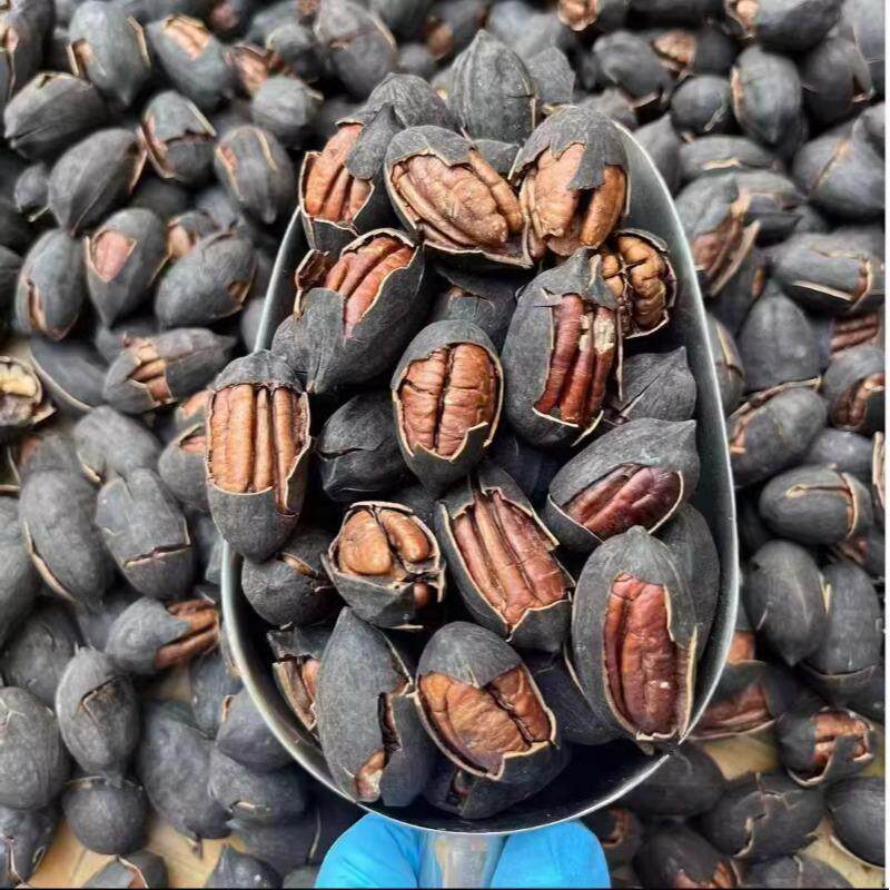New Black Gold Cracked Pecan Nut Snacks Longevity Fruit Non-Crushed Dried Fruit New Canned Goods