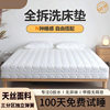 Fully Removable Mattress Roll-Packed Compression Mattress Removable and Washable Mattress Spine Protection Spring Latex Silent Coconut Palm Mattress Dual-Purpose