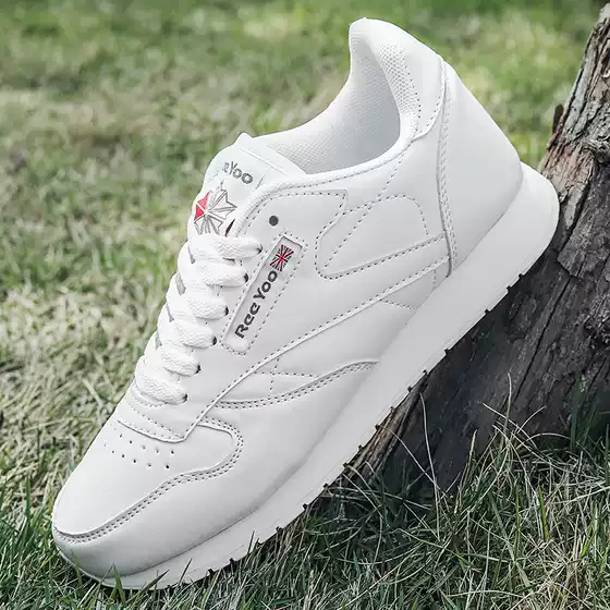 Foreign Trade Torre Shoes Lightweight Couple Shoes Foreign Trade plus size Shoes Men's Casual sneaker Four Seasons Trendy Men's Shoes Forrest Gump Shoes