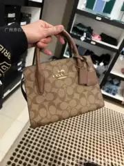 Bags for Women 2024 New Andrea Princess Diana Bag Fashionable and Elegant Handbag High-End Elegant Crossbody Bag Accessible Luxury Model