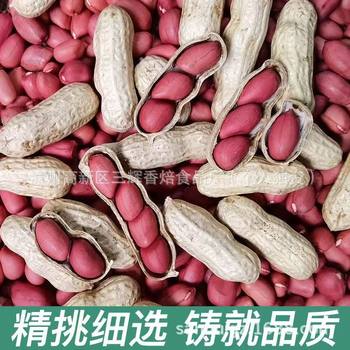 Fresh Shelled Red-Skinned Peanuts, Original Fried Red-Skinned Peanuts, New Raw Peanuts, Shelled Snacks, Wholesale Price